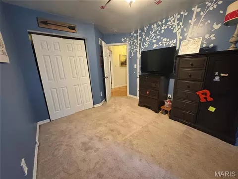 Other - 1018 Sara Jane Ln, Saint Clair, MO 63077 photo 2 of 7