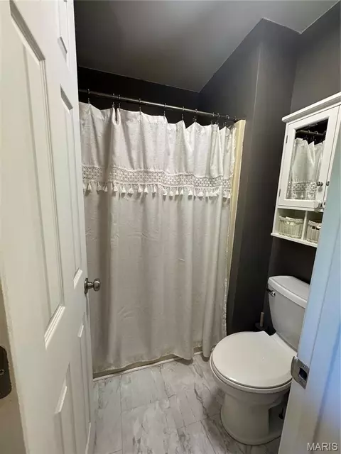 Bath - 1018 Sara Jane Ln, Saint Clair, MO 63077 photo 3 of 4