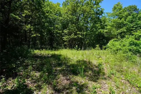 0 Blocks Branch Rd, Owensville, MO 65066