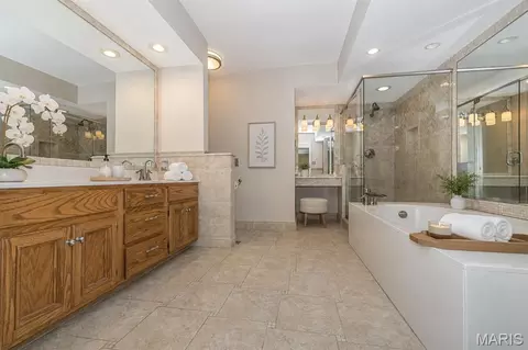 Bath - 159 Spring Oaks Dr, Ballwin, MO 63011 photo 3 of 4