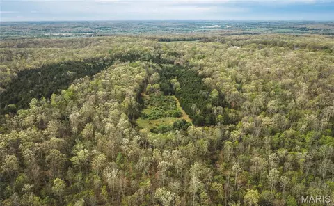 Tract 3 Cleavesville Road, Bland, MO 65014