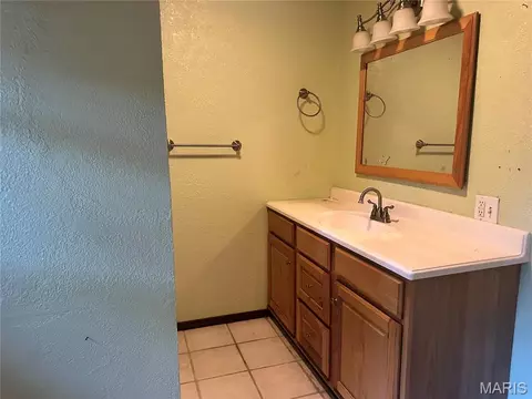 Bath - 10465 Chalk Bluff Way, Dexter, MO 63841 photo 3 of 3