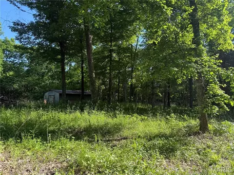 0 Rustic Acres Dr, Bonne Terre, MO 63628