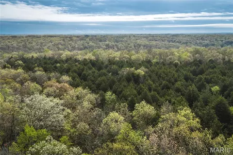 Tract 4 Cleavesville Road, Bland, MO 65014