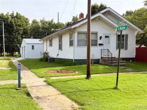 Other - 701 E Chestnut St, Gillespie, IL 62033 photo 2 of 20