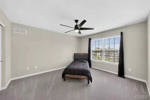 Other - 321 Red Wing Ct, Troy, MO 63379 photo 10 of 17