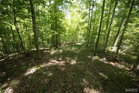 Tract 5 Bcr 930, Patton, MO 63662