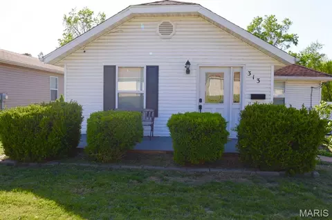 313 S Mill St, Festus, MO 63028