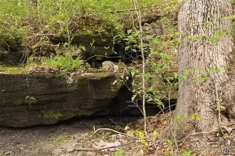 000 Highway 32, Licking, MO 65542 photo 65