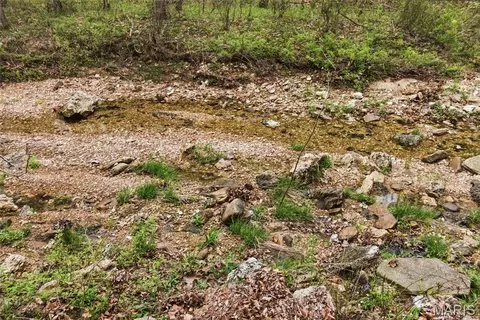 000 Highway 32, Licking, MO 65542 photo 57