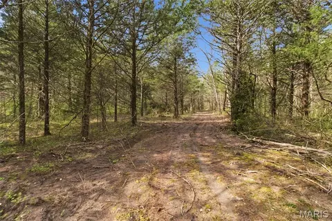 000 Highway 32, Licking, MO 65542 photo 60