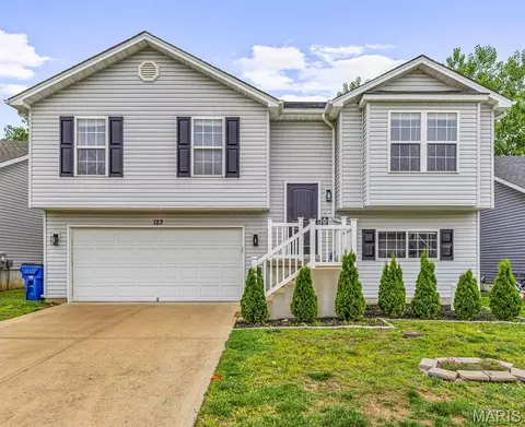 123 Doctrine Dr, Festus, MO 63028
