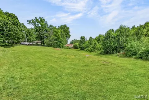 36 Firefly Ct, Manchester, MO 63021 photo 5