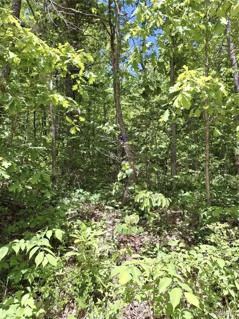 Undisclosed, Bunker, MO 63629
