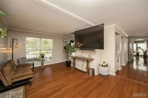 Living - 7313 Cinnamon Teal Dr, O'fallon, MO 63368 photo 3 of 5
