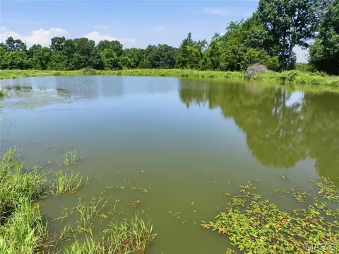0 Cardinal Rd, Dixon, MO 65459 photo 41