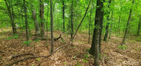 0 S Highway 17, Laquey, MO 65534