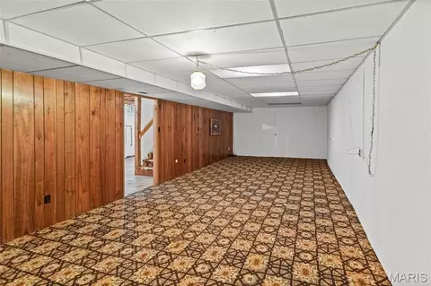 Other - 411 E Roosevelt Dr, Moro, IL 62067 photo 7 of 15