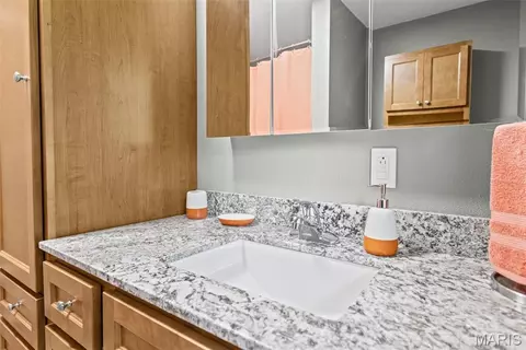 Bath - 411 E Roosevelt Dr, Moro, IL 62067 photo 3 of 4