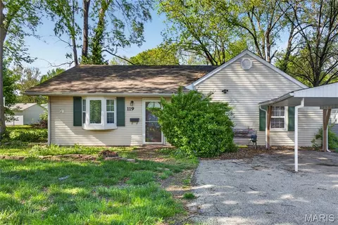 119 S 37th St, Belleville, IL 62226