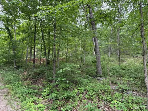 0 Lot 84 Mallard Rd, Middlebrook, MO 63656