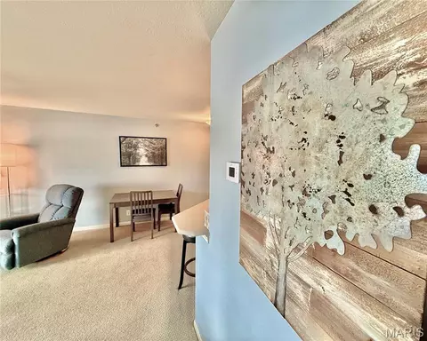 Other - 222 Park Place Ln #2A, Kaiser, MO 65047 photo 5 of 10