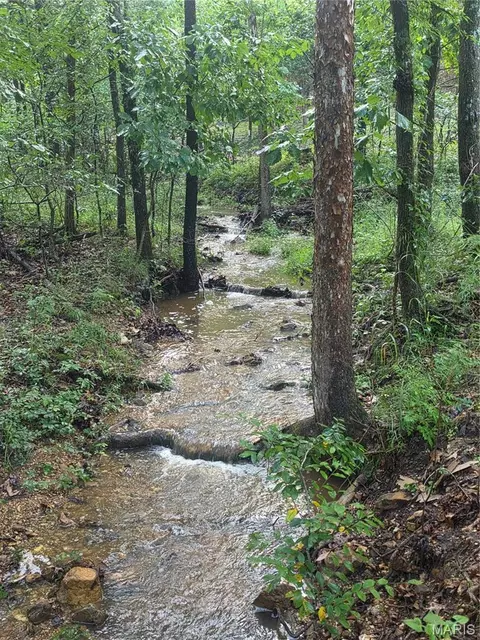 2478 Fowler Rd, Hermann, MO 65041 photo 27