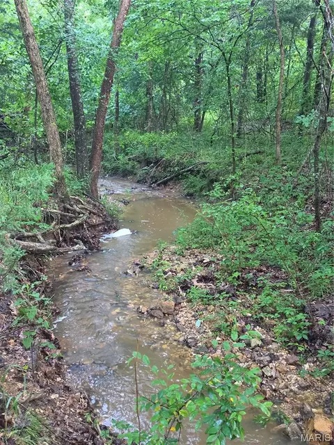 2478 Fowler Rd, Hermann, MO 65041 photo 28