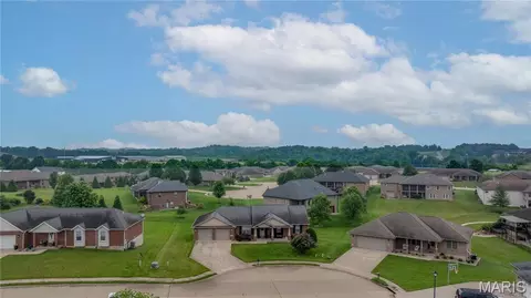 View/Area - 2566 Prairie View Trl, Jackson, MO 63755 photo 2 of 3