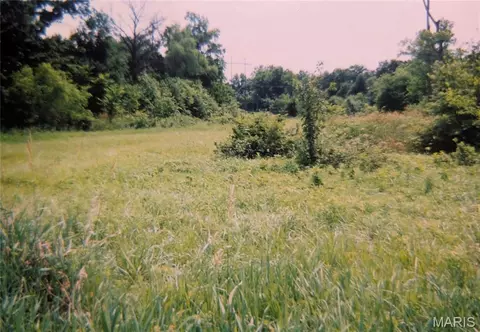 2580 Hopewell Rd, Wentzville, MO 63385