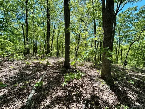 0 Turkey Foot Rd, Bourbon, MO 65441 photo 10