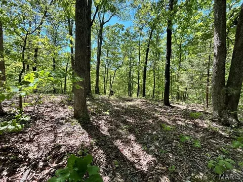 0 Turkey Foot Rd, Bourbon, MO 65441 photo 25