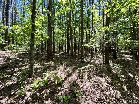 0 Turkey Foot Rd, Bourbon, MO 65441 photo 8