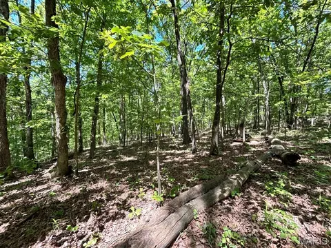 0 Turkey Foot Rd, Bourbon, MO 65441 photo 15