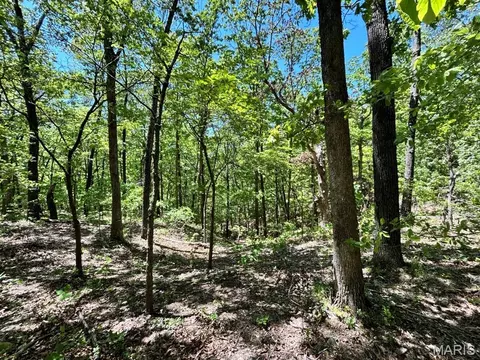 0 Turkey Foot Rd, Bourbon, MO 65441 photo 24