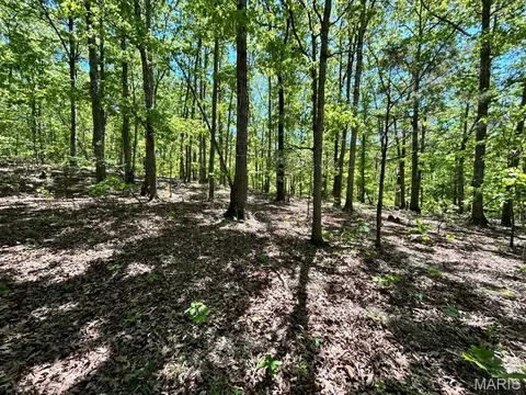 0 Turkey Foot Rd, Bourbon, MO 65441 photo 7