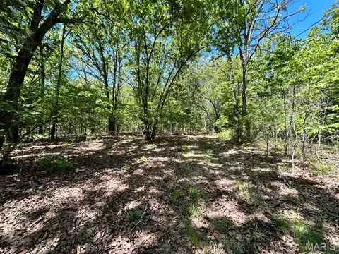 0 Turkey Foot Rd, Bourbon, MO 65441 photo 21
