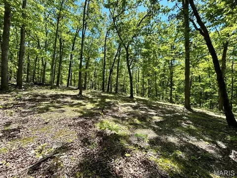 0 Turkey Foot Rd, Bourbon, MO 65441 photo 14