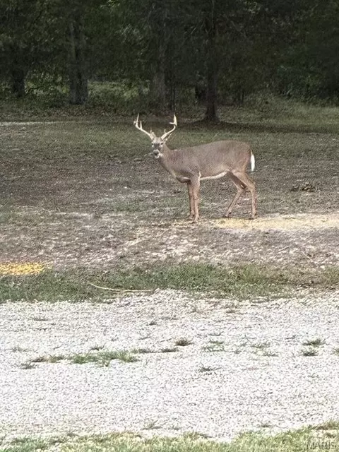 0 Turkey Foot Rd, Bourbon, MO 65441