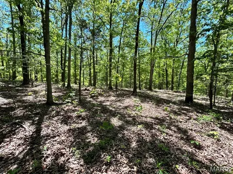 0 Turkey Foot Rd, Bourbon, MO 65441 photo 12