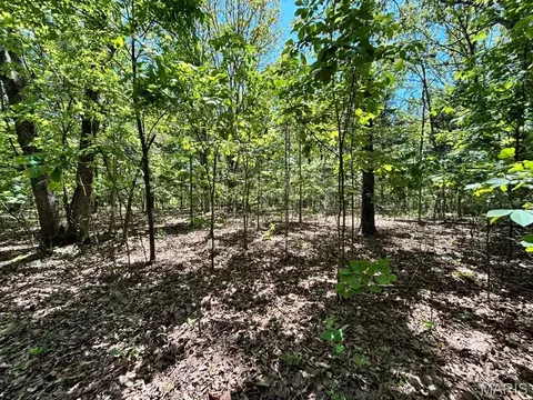 0 Turkey Foot Rd, Bourbon, MO 65441 photo 20