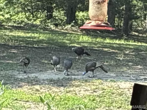 0 Turkey Foot Rd, Bourbon, MO 65441 photo 33