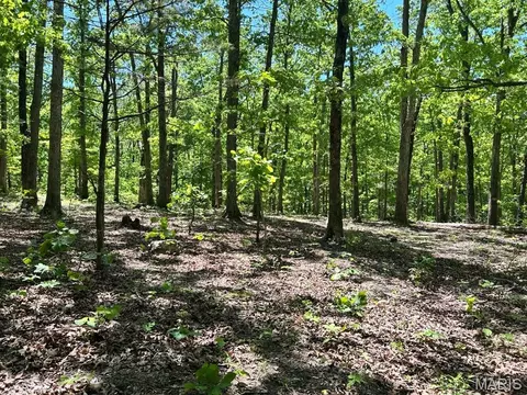 0 Turkey Foot Rd, Bourbon, MO 65441 photo 11