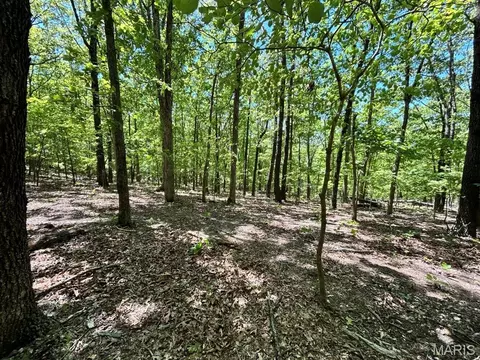 0 Turkey Foot Rd, Bourbon, MO 65441 photo 19