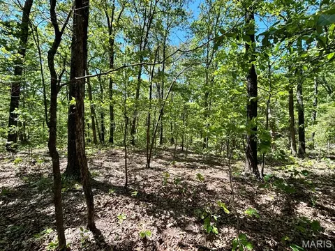 0 Turkey Foot Rd, Bourbon, MO 65441 photo 23