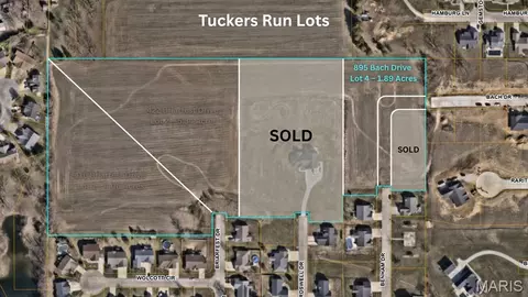 895 Bach Dr, Millstadt, IL 62260
