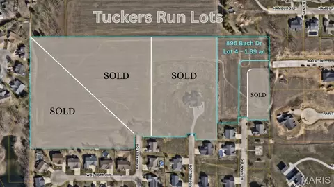 895 Bach Dr, Millstadt, IL 62260