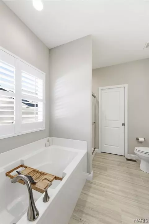 Bath - 206 Rivermist Ct, O'fallon, MO 63366 photo 2 of 4