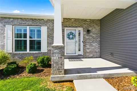 Exterior - 206 Rivermist Ct, O'fallon, MO 63366 photo 8 of 10