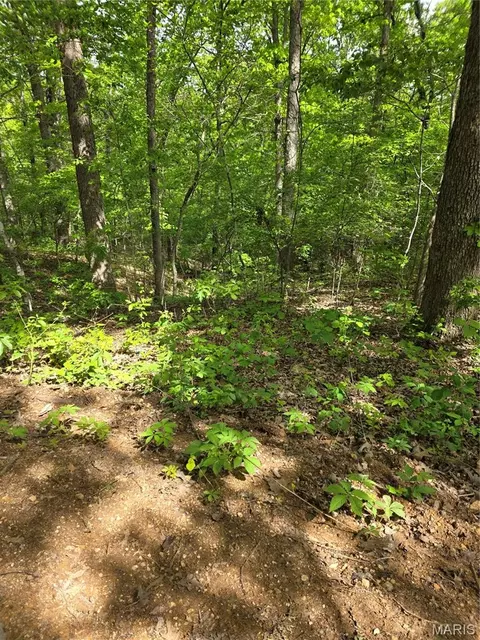 tbd Broken Circle Rd, Stover, MO 65078 photo 3